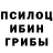 Галлюциногенные грибы Psilocybe Mobile Service