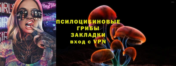 крисы Беломорск
