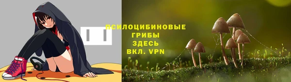 PSILOCYBIN Белокуриха