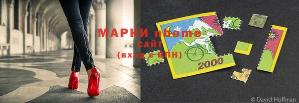 PSILOCYBIN Белокуриха