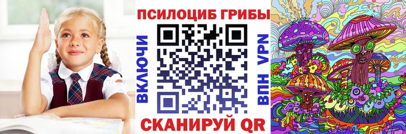 хочу   Кувандык  Галлюциногенные грибы мицелий 