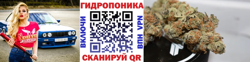 Бошки Шишки индика Кувандык